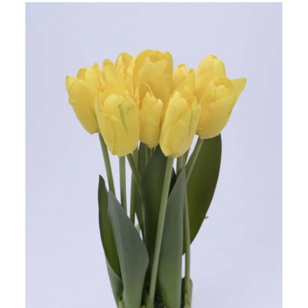 Set of 2 Artificial Yellow Tulip Standing Bunch 14
